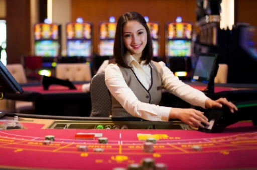 바카라도박 바카라 게임을 플레이하기 위한 생존 가이드